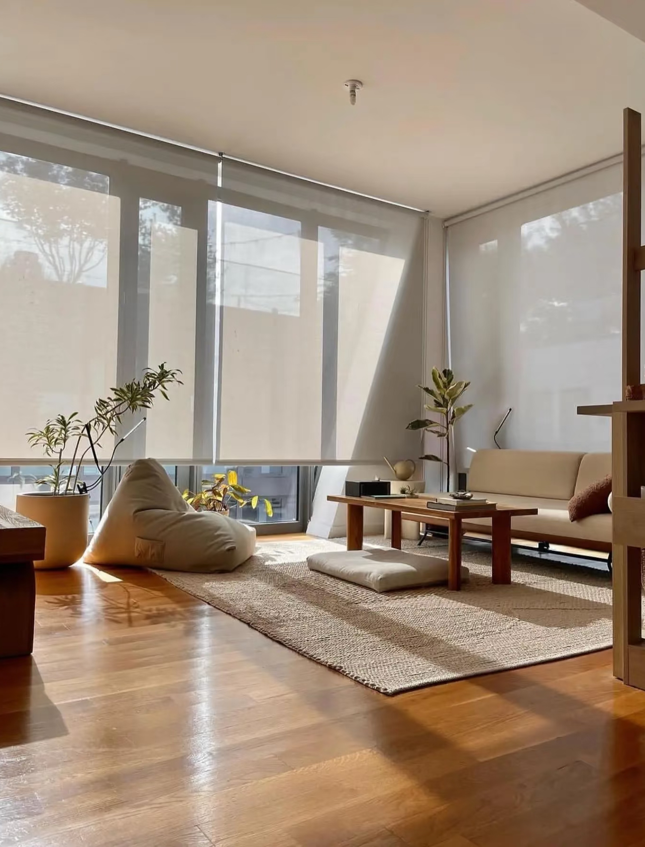 Cordless Roller Shades, No Tools No Drill Blackout Window Blinds, Pleated Fabric, Energy Efficient for Home & Office