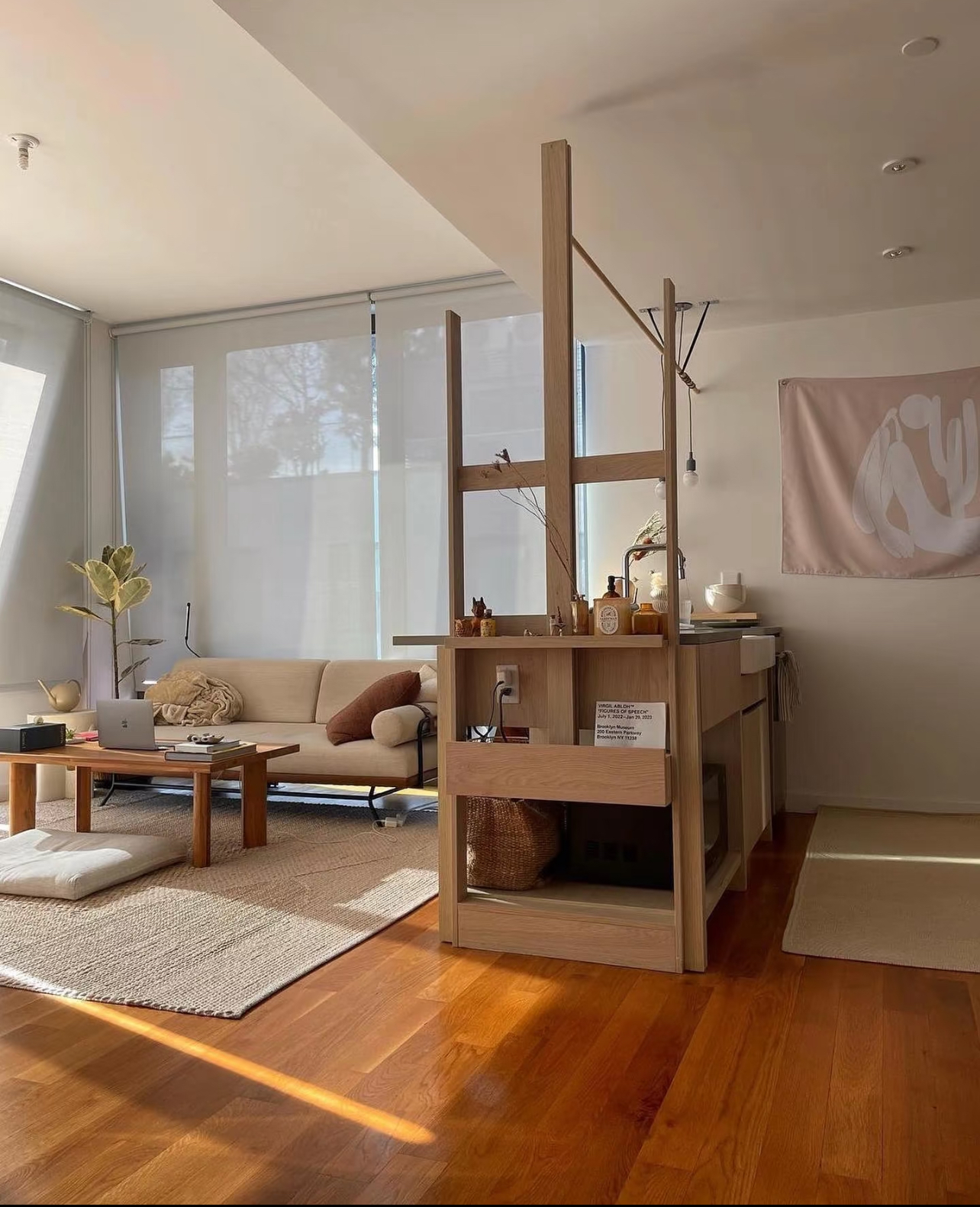 Cordless Roller Shades, No Tools No Drill Blackout Window Blinds, Pleated Fabric, Energy Efficient for Home & Office