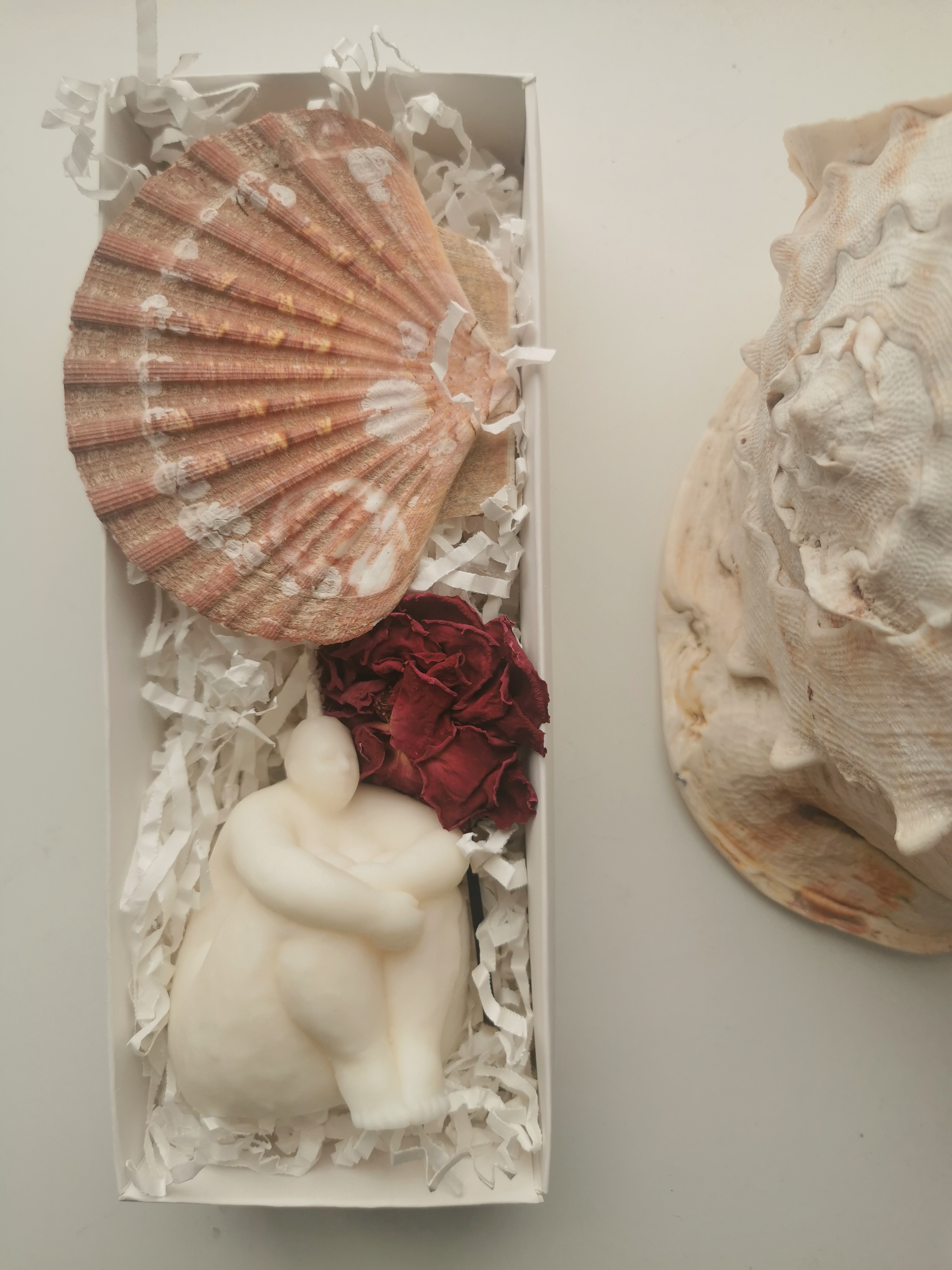 6 Žvakės "Deivė Venera"