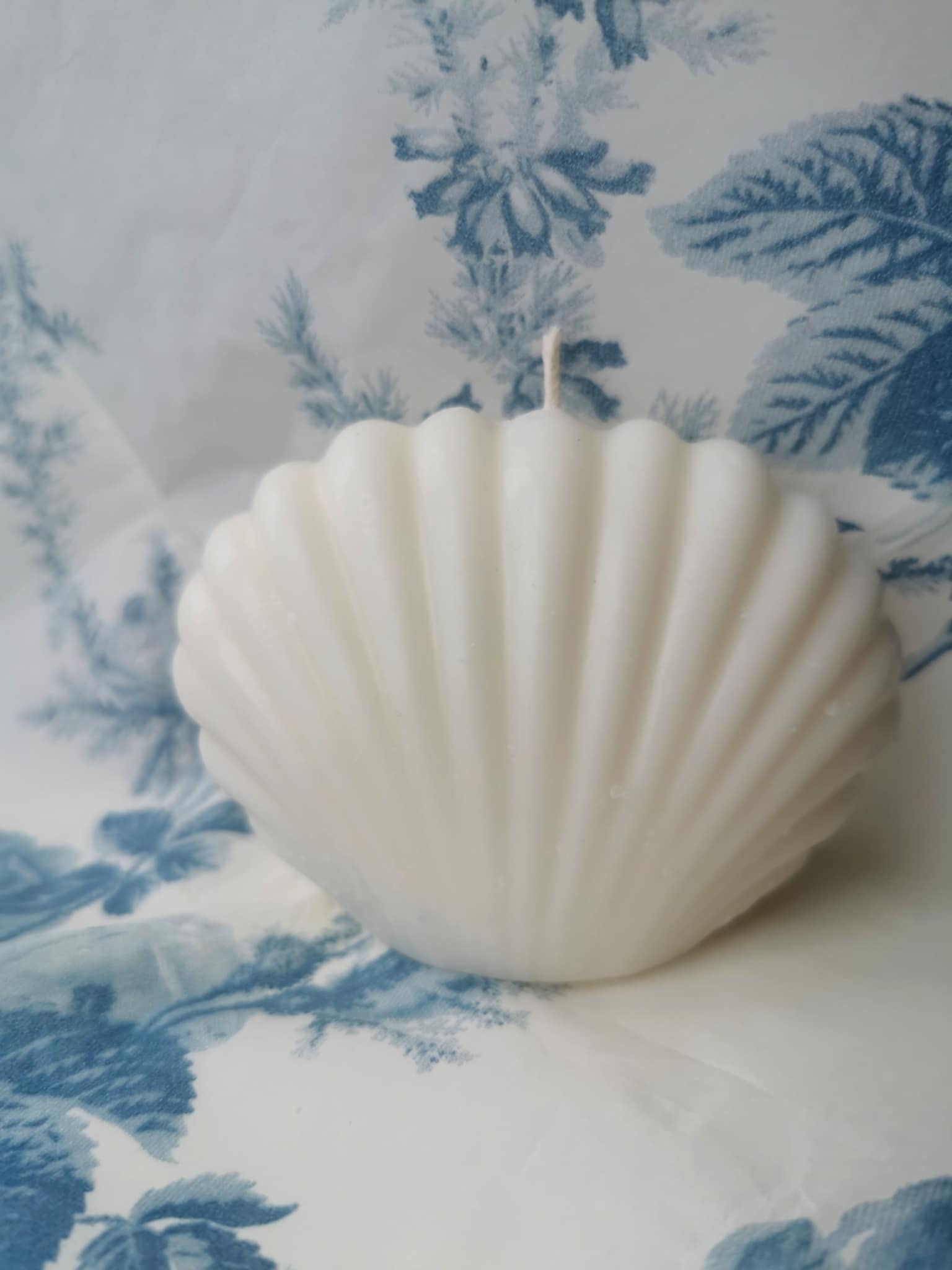 6 Žvakės "Kriauklė" didesnė