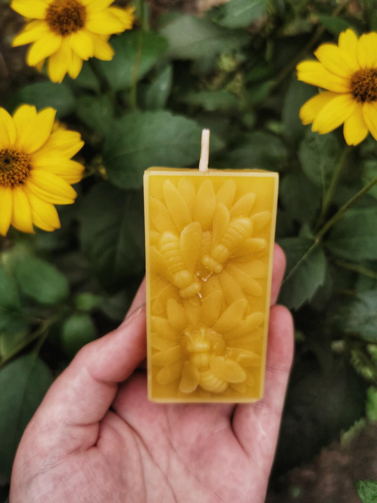 6 Žvakės "Trys bitės"