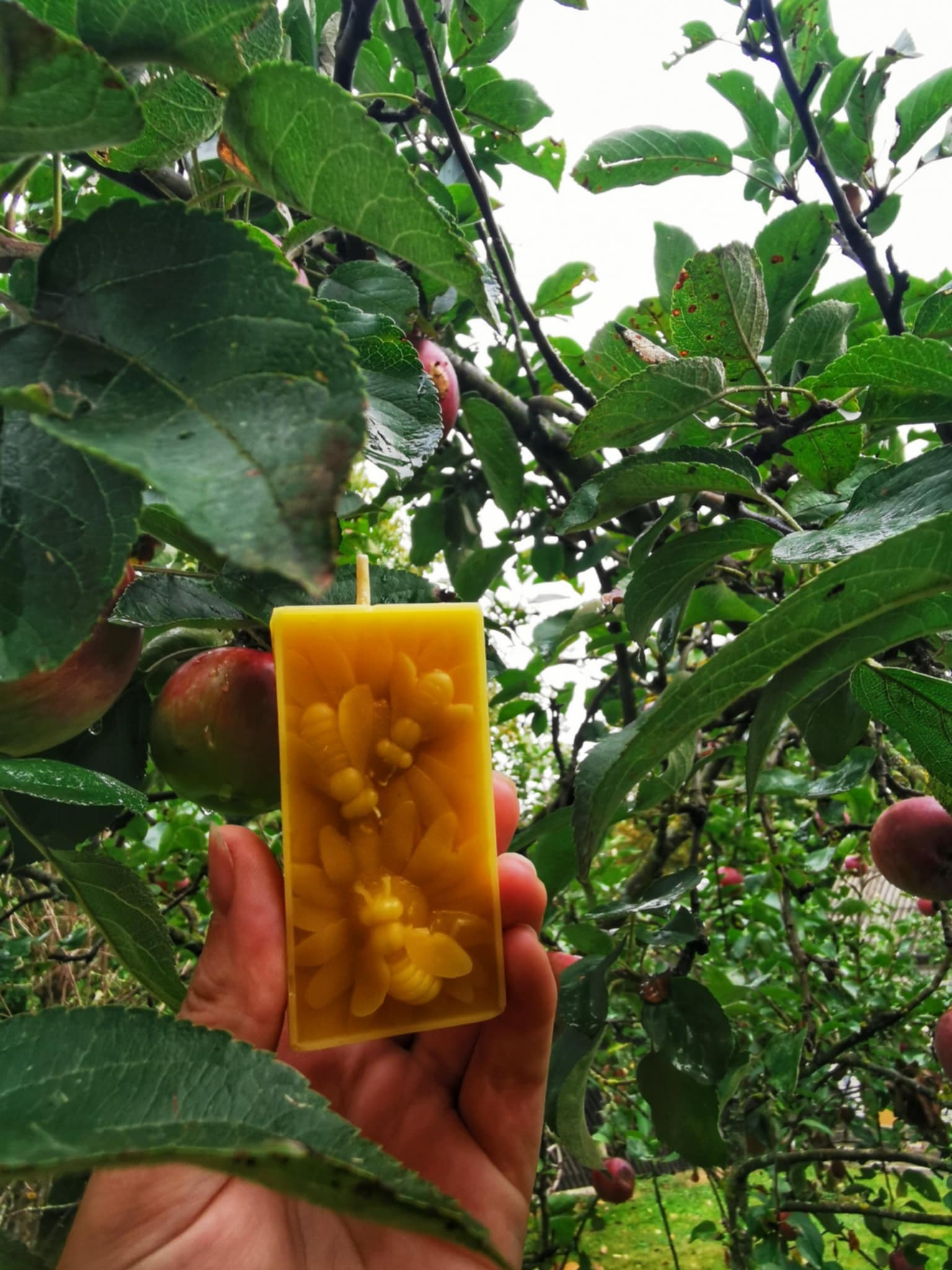 6 Žvakės "Trys bitės"