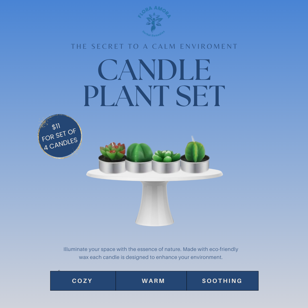 Candle Plant Set 4pck