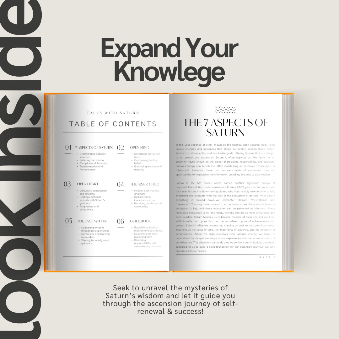 Talks with Saturn Ebook