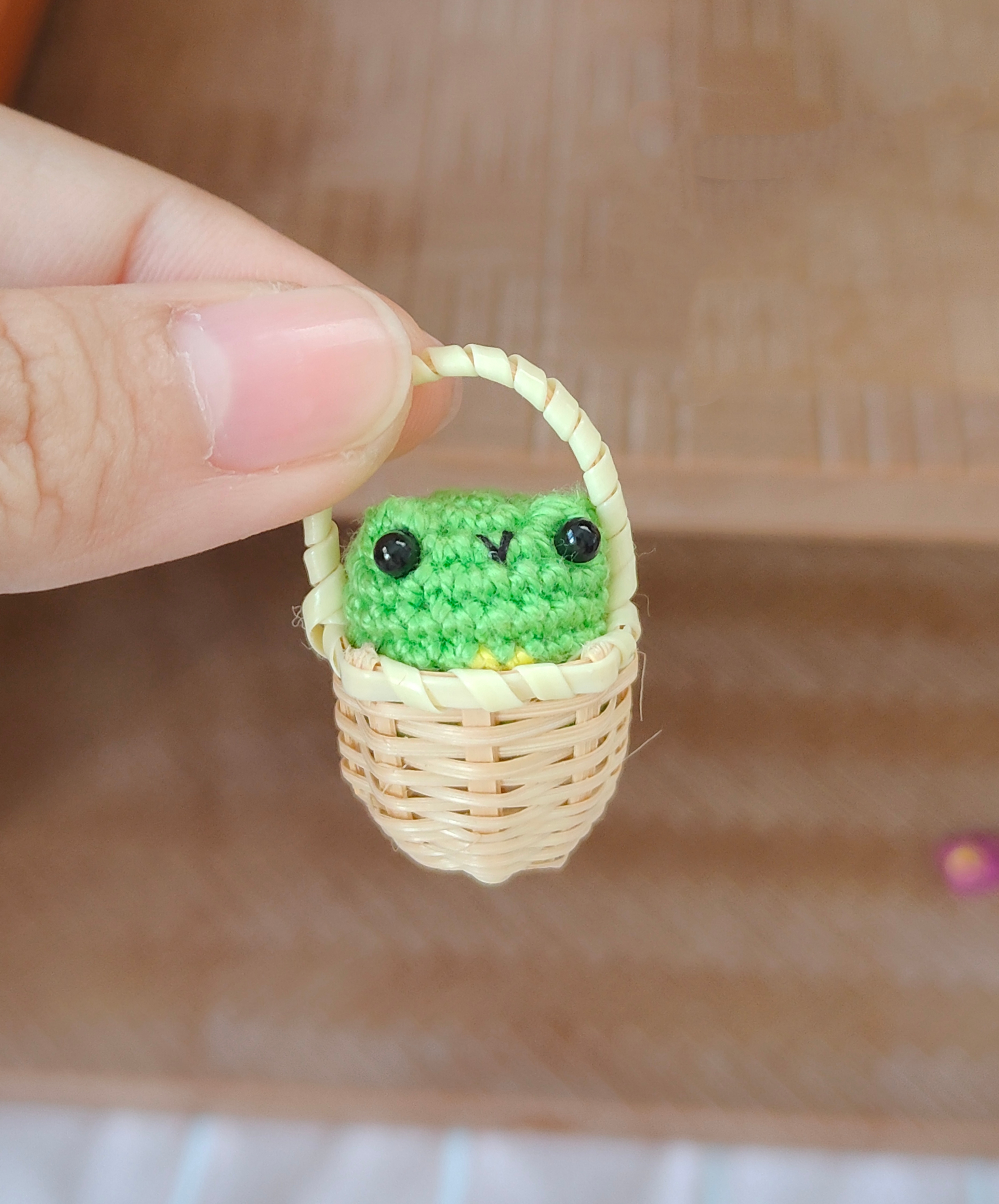 Mini Froggy Friend
