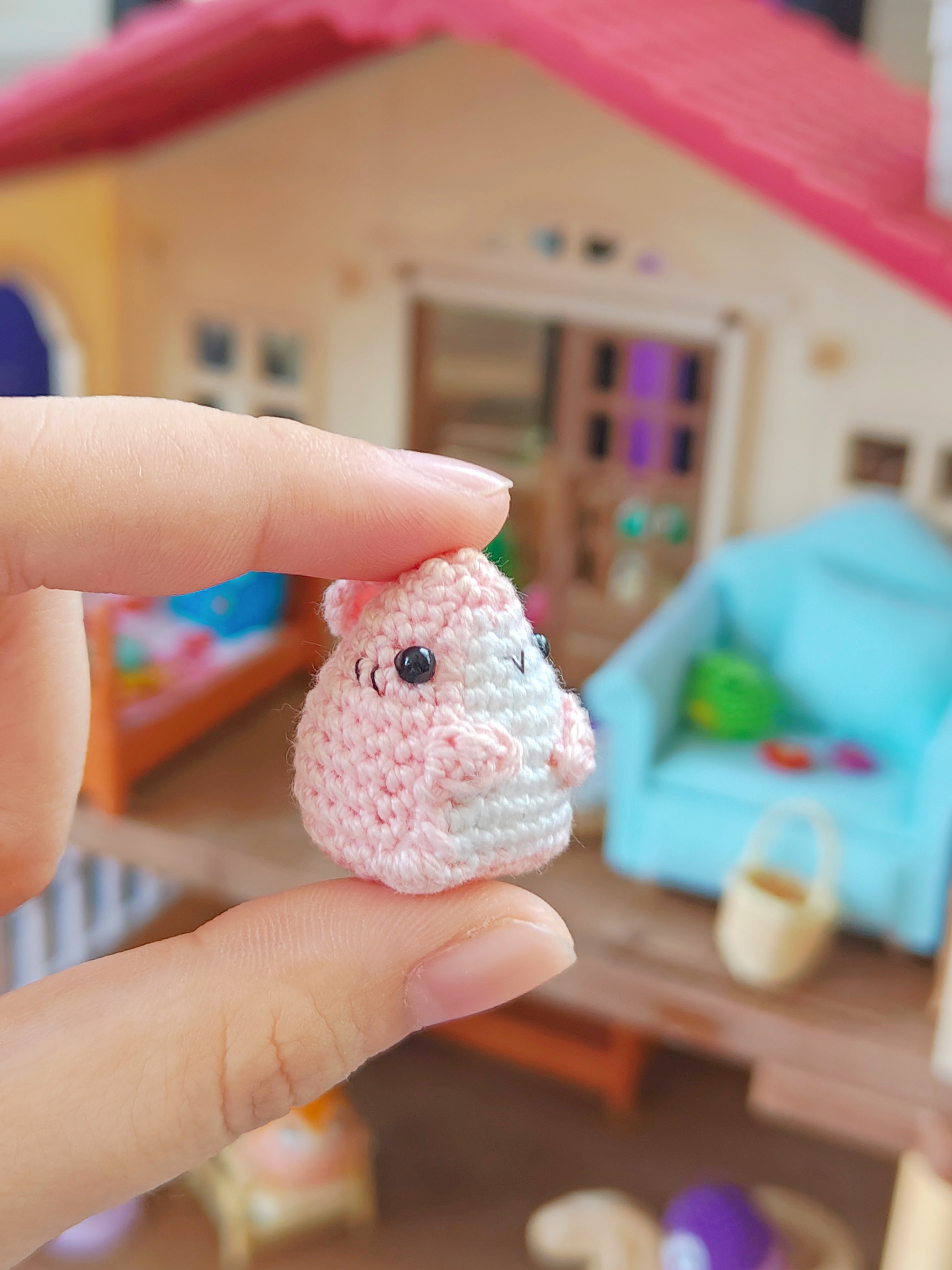 Mini Sharkito Pup