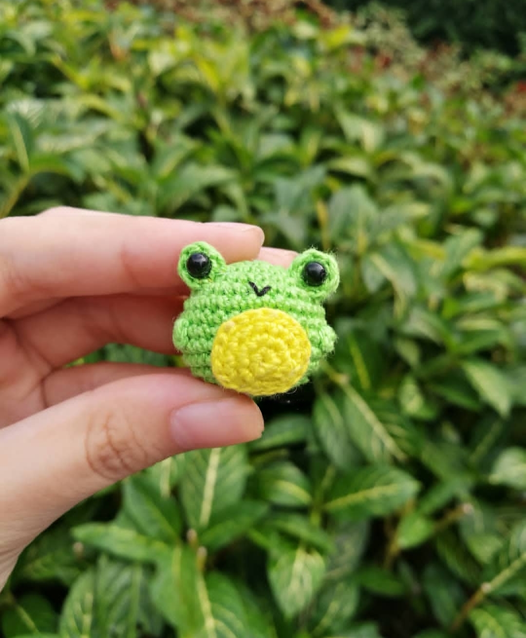 Mini Froggy Friend