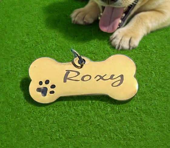 Médaille personnalisée pour animaux de compagnie