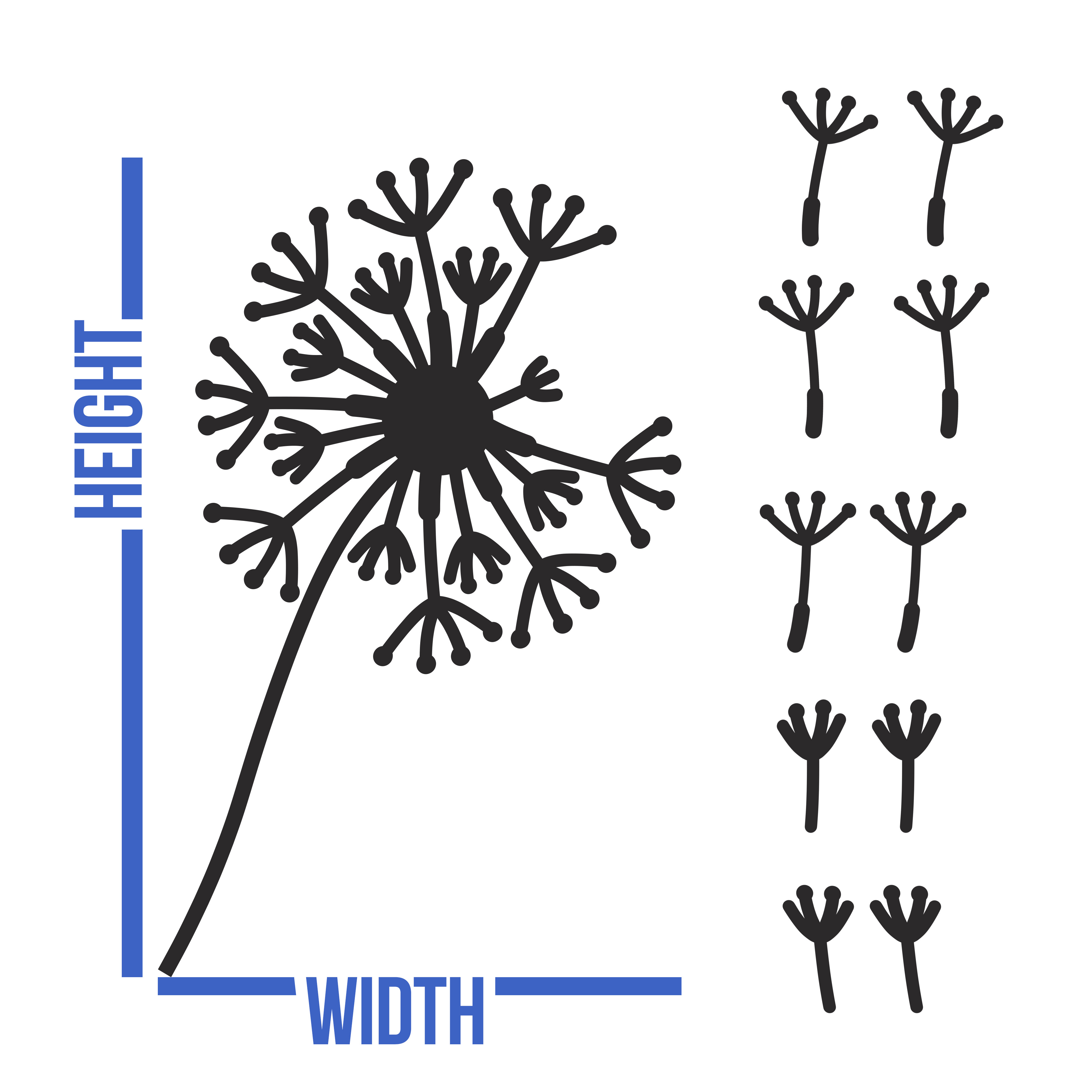 Dandelion Wall Sticker available in different sizes