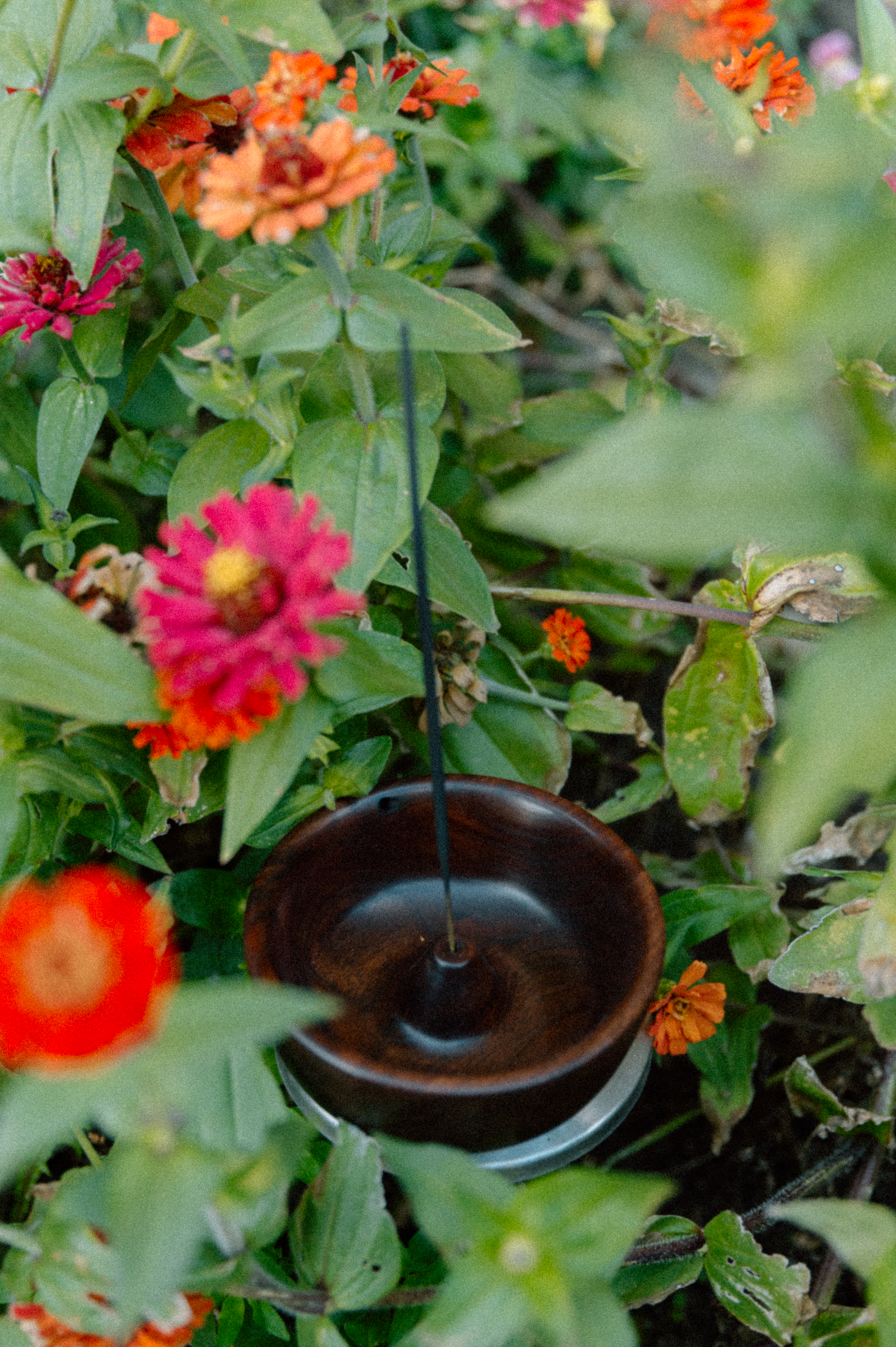 Walnut Incense Holder