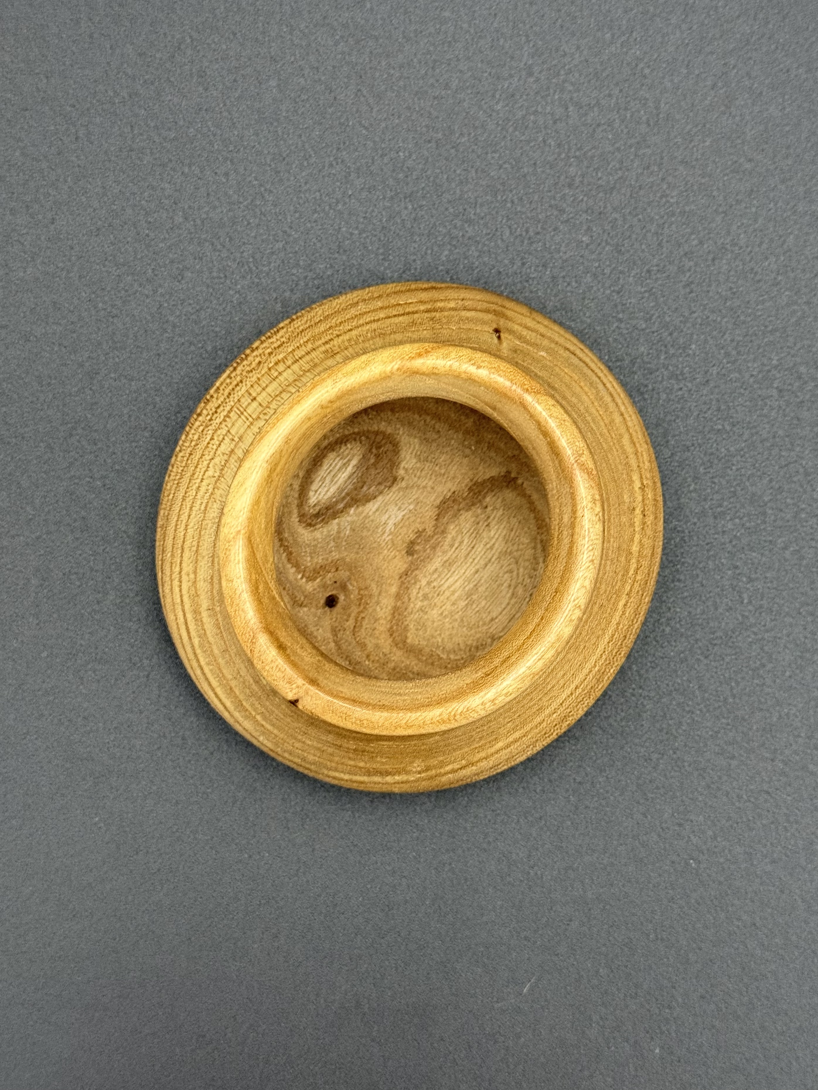 Decorative Small Elm