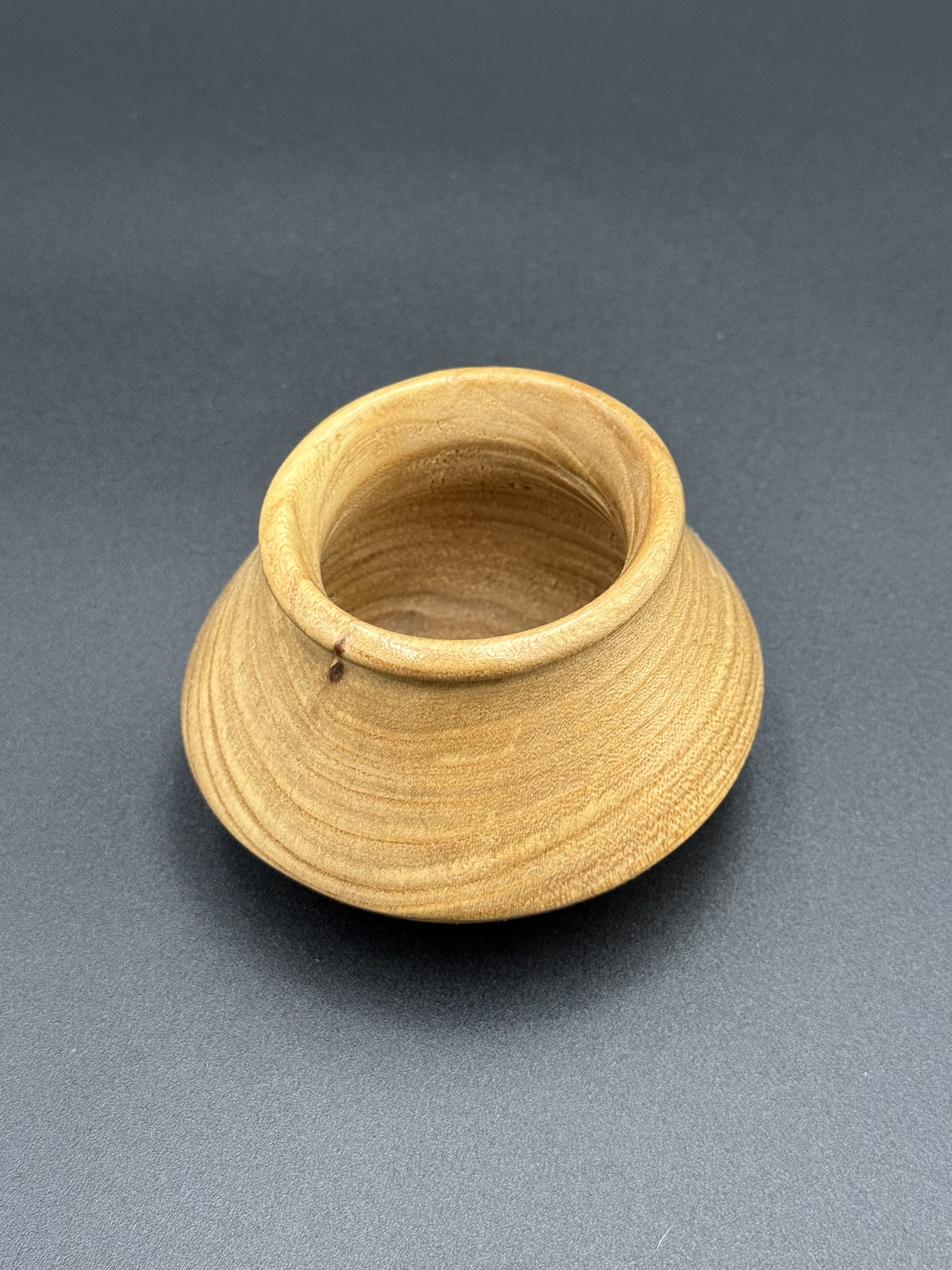 Decorative Small Elm 