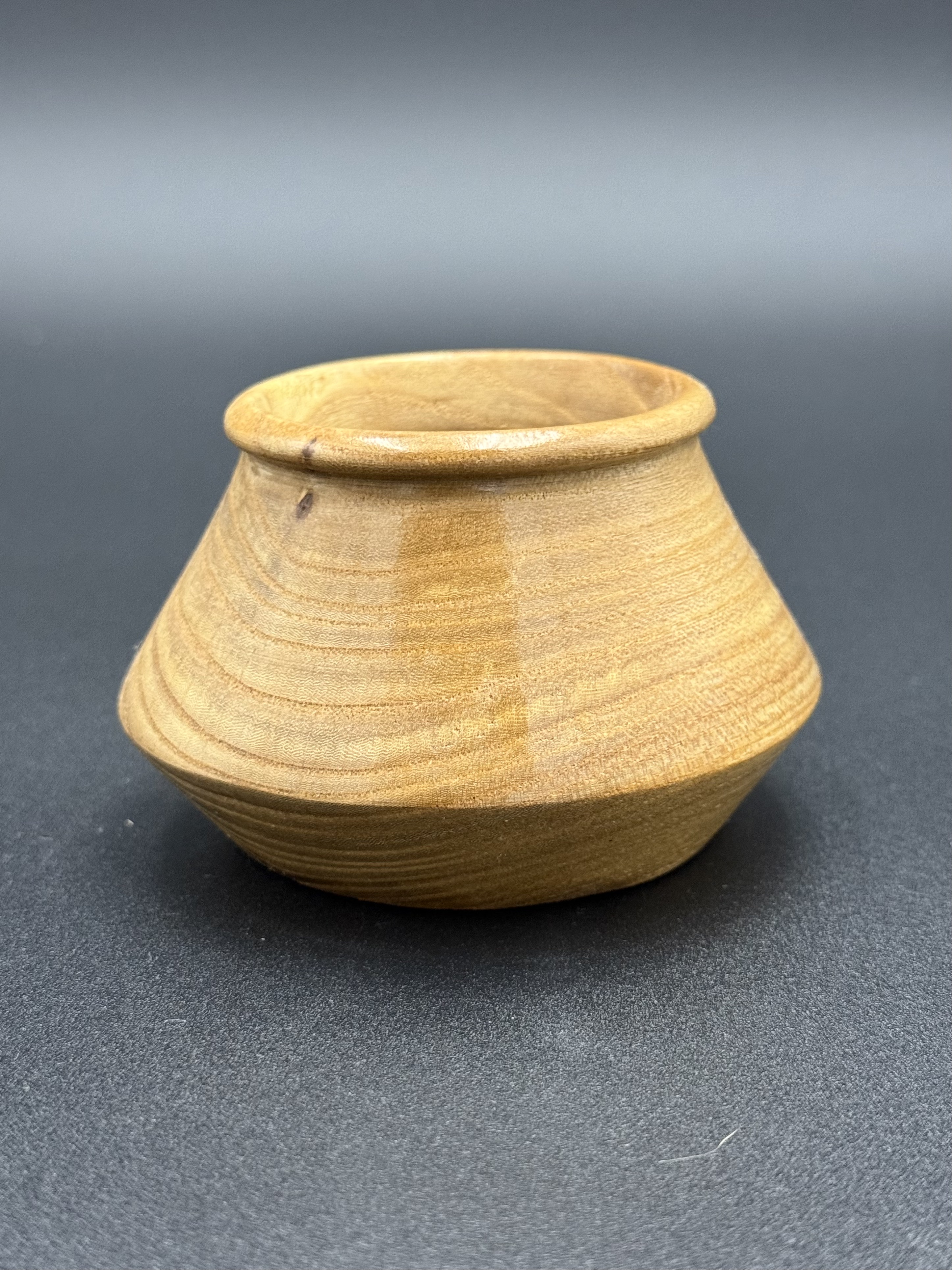 Decorative Small Elm 