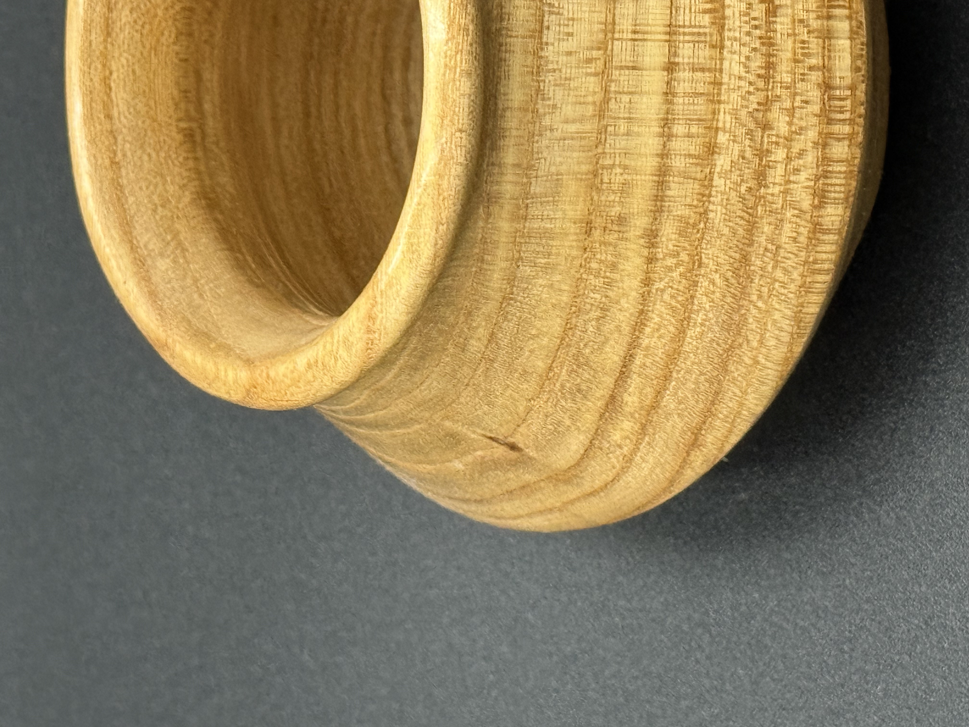 Decorative Small Elm 