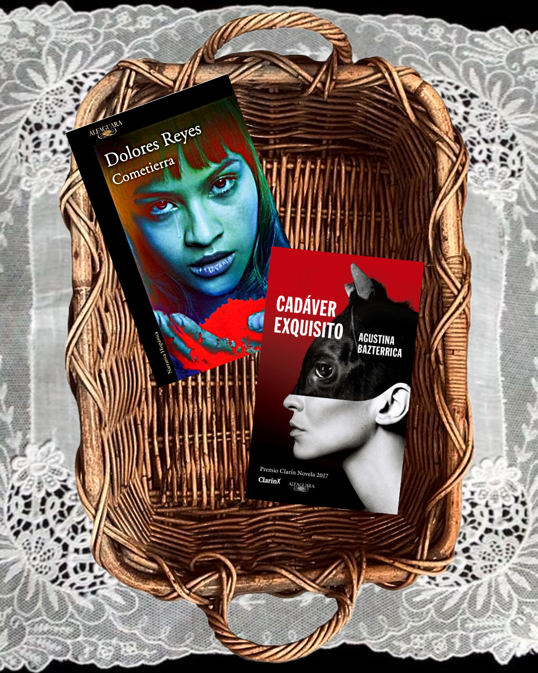 "Lo que el cuerpo sabe" Pack de lectura