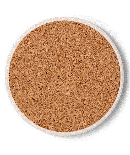 Ceramic Coaster - Bad Shark