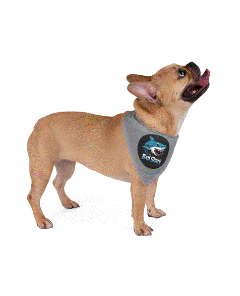 Pet Bandana - Bad Shark