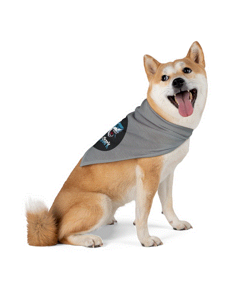 Pet Bandana - Bad Shark