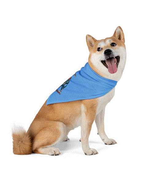 Pet Bandana – Shark ‘Great Again’ Design
