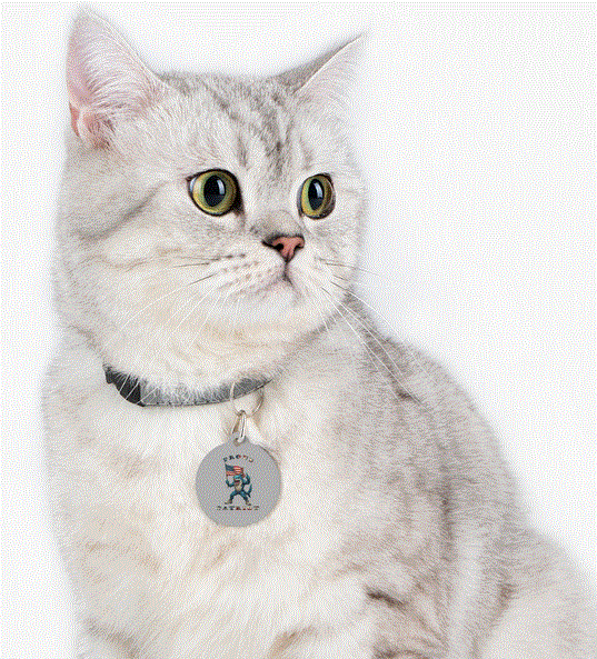 Pet Tag - Proud Patriot Shark Design