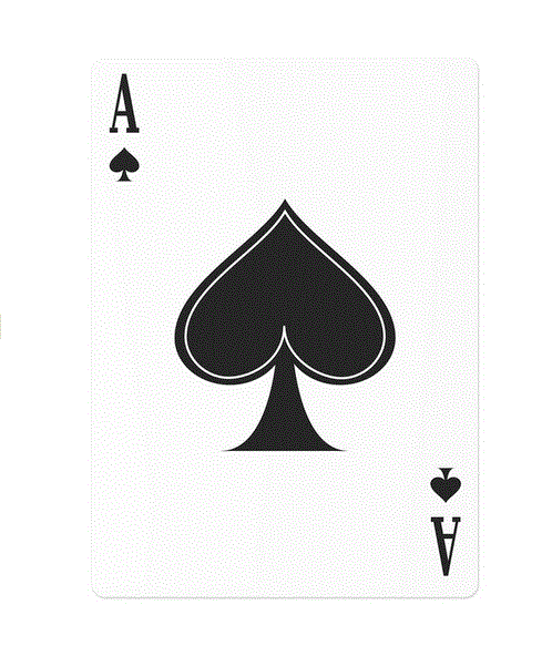 Playing Cards - Proud Patriot Design