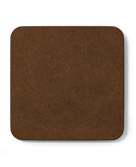 Coaster - Patriotic Shark Design