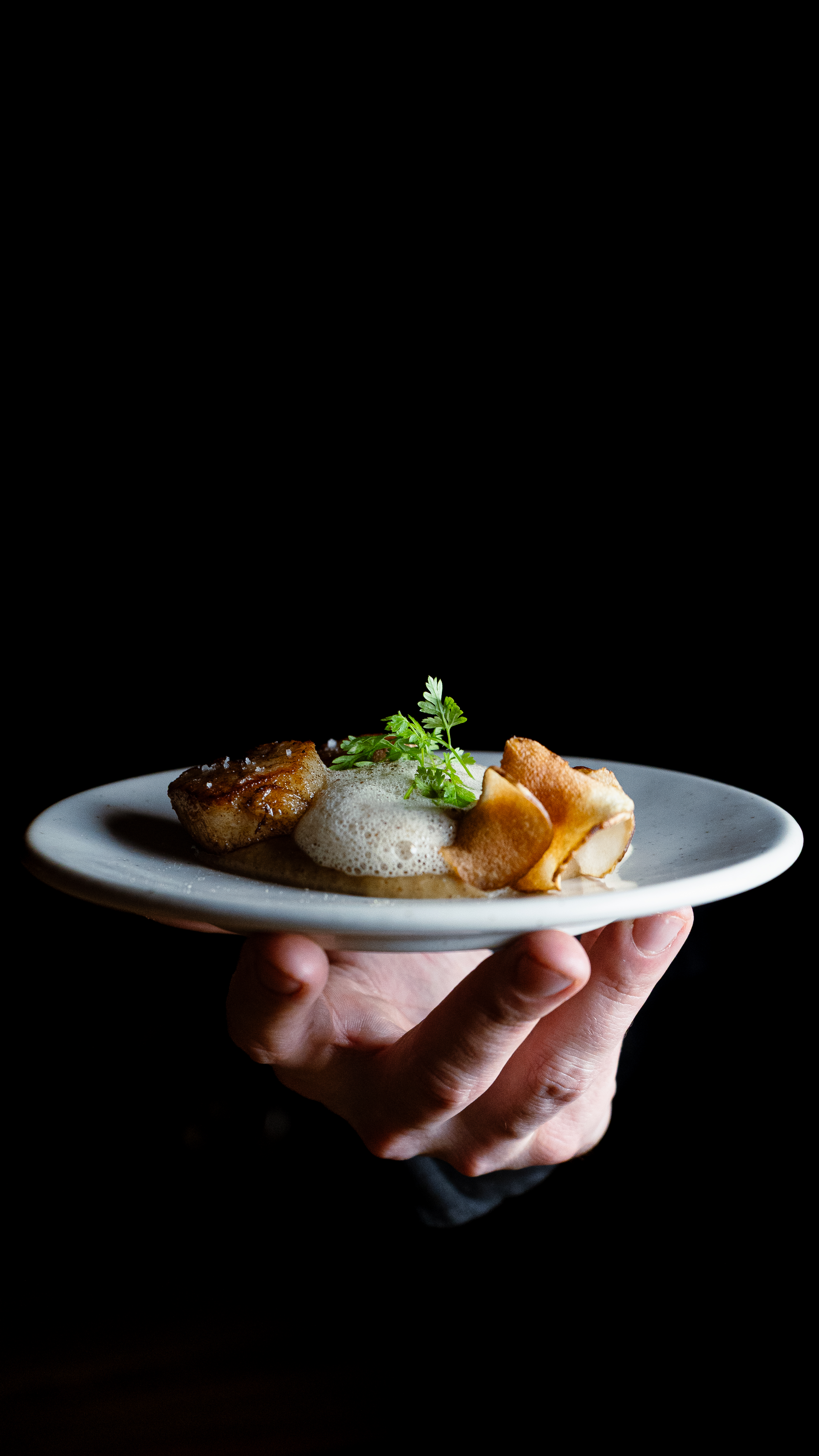 Saint Jacques rôties by Valentin Favreau - PAGAILLE #2