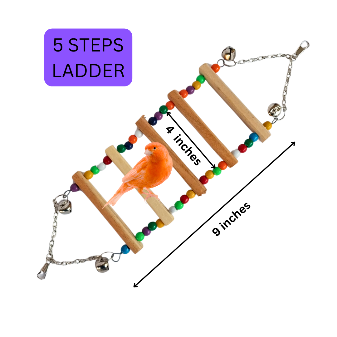Kolachipets all in one bundle best pack of 8 cage toys for bird