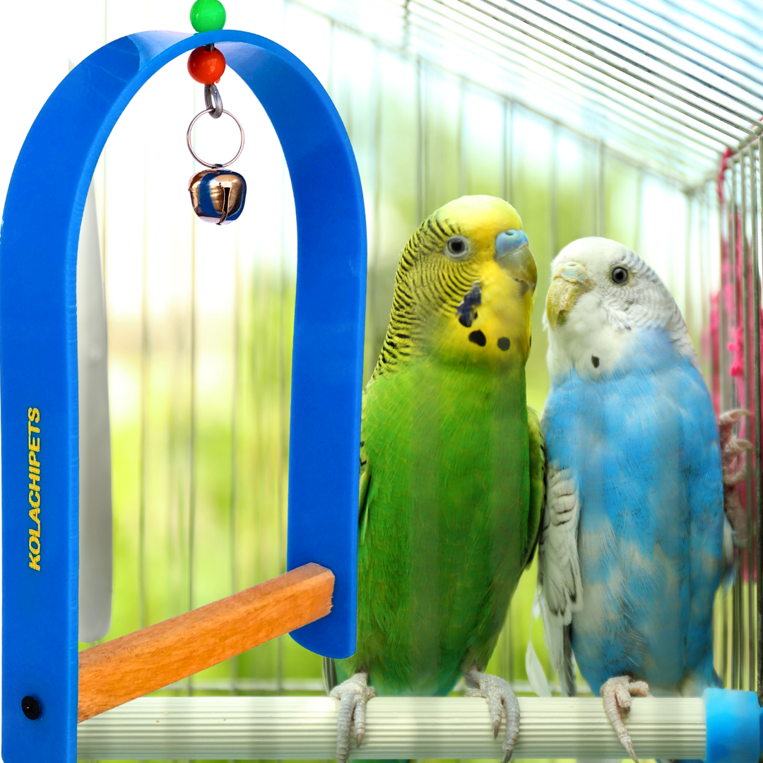 Kolachipets pack of 5 new design best acrylic wooden swing for bird cage and pet toy parrot boredom breaker pet accessories