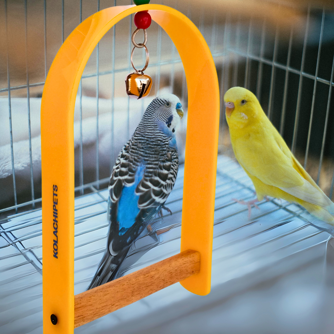 Kolachipets pack of 5 new design best acrylic wooden swing for bird cage and pet toy parrot boredom breaker pet accessories