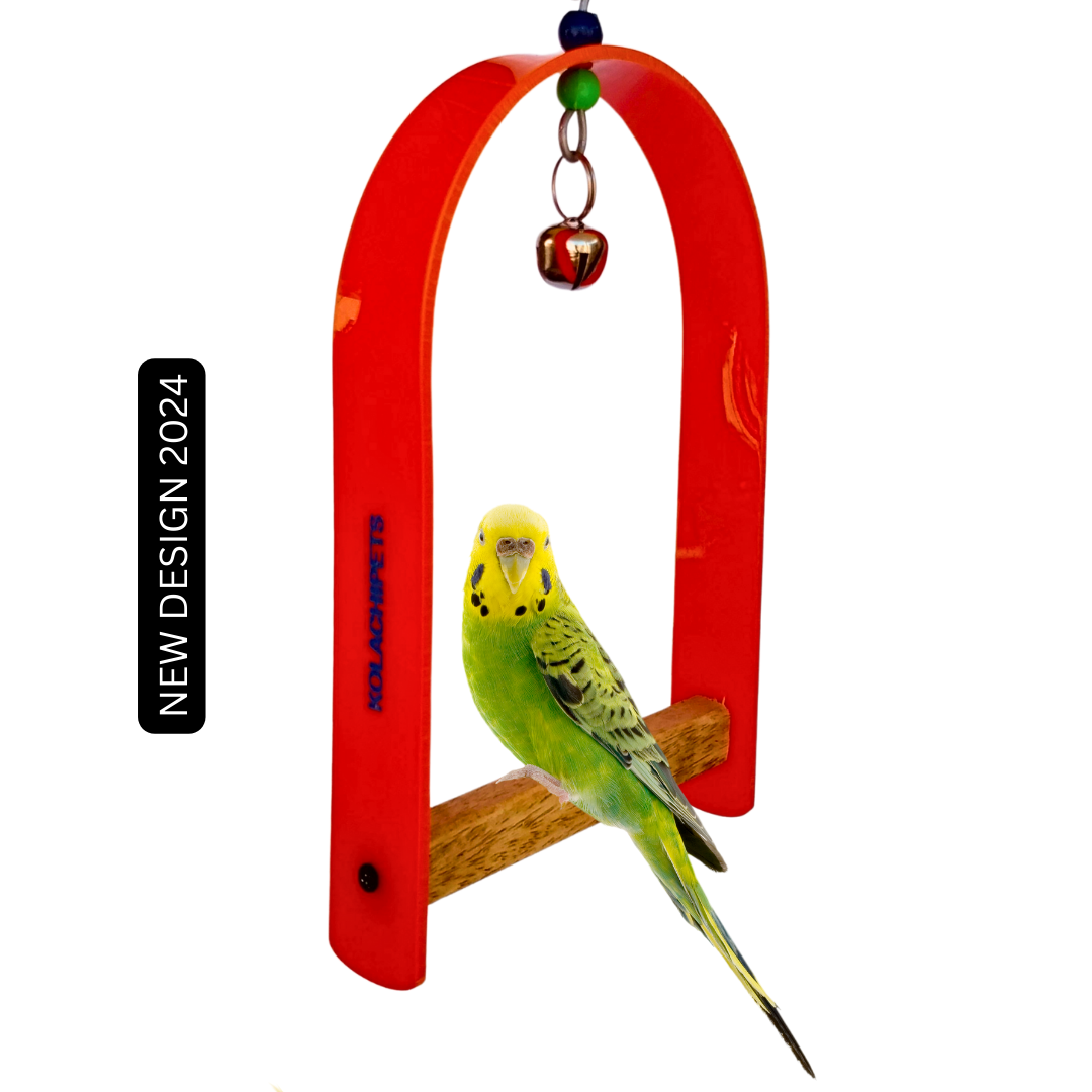 Kolachipets pack of 2 new design best acrylic wooden swing for bird cage and pet toy parrot boredom breaker pet accessories