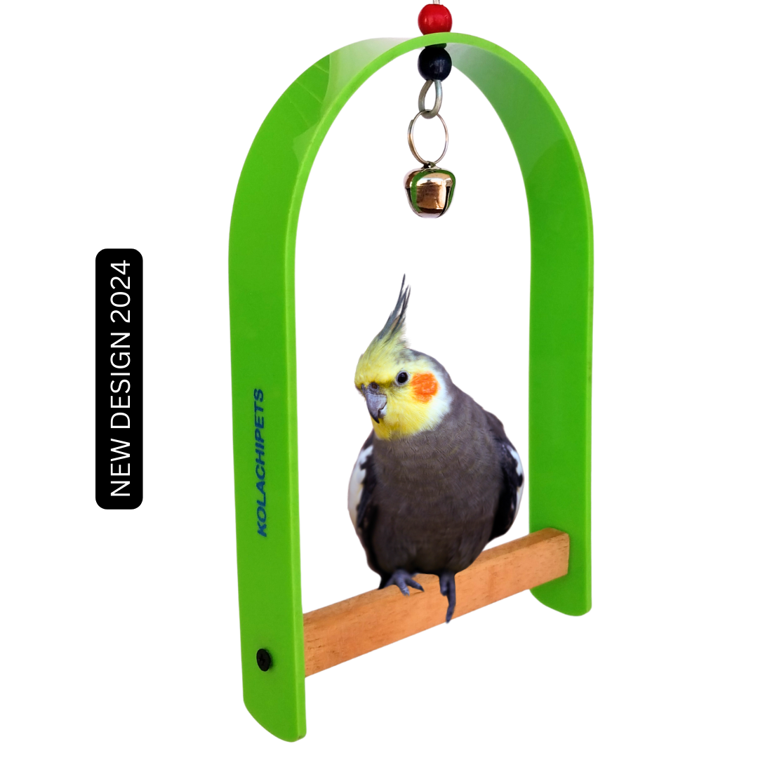 Kolachipets pack of 2 new design best acrylic wooden swing for bird cage and pet toy parrot boredom breaker pet accessories