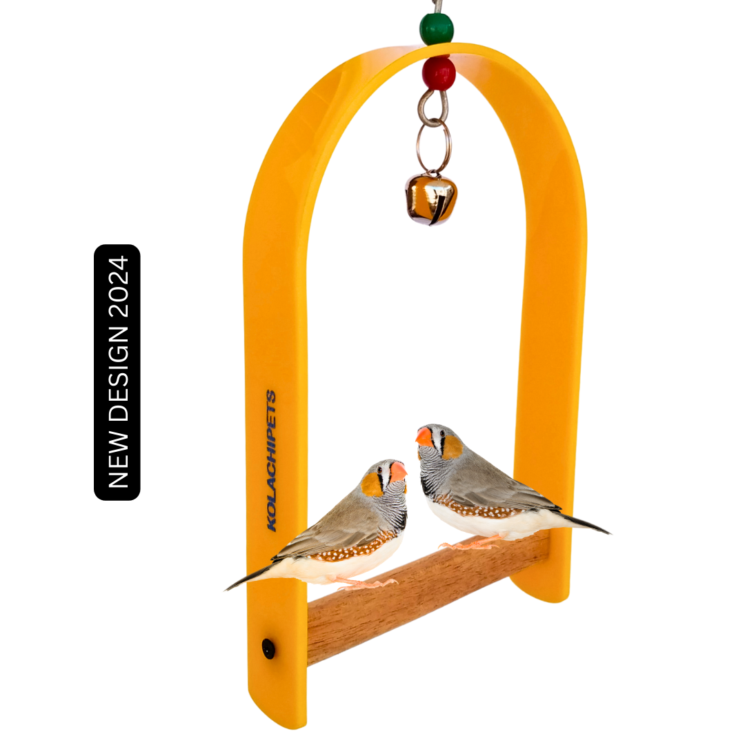 Kolachipets pack of 2 new design best acrylic wooden swing for bird cage and pet toy parrot boredom breaker pet accessories
