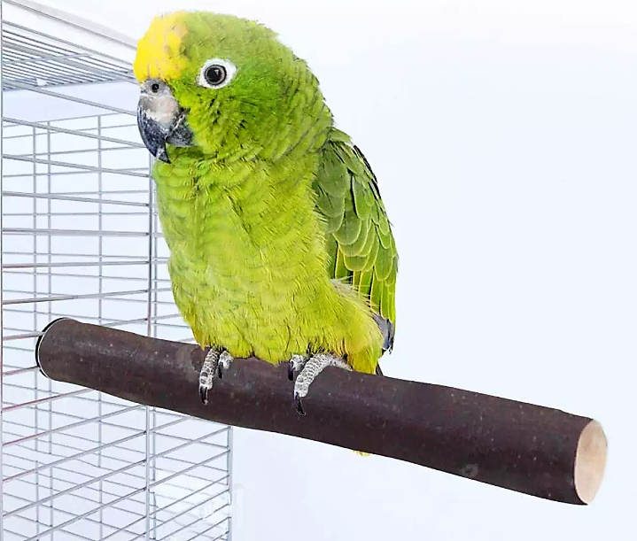 🐦 Pack of 2 Natural Wood Bird Perches | Parrot Cage Accessories | Easy Install | 100% Natural