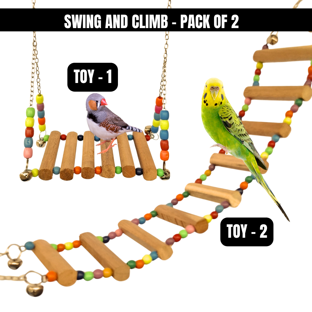 Kolachipets Bird Toys Pack of 2 – Swings & Ladders