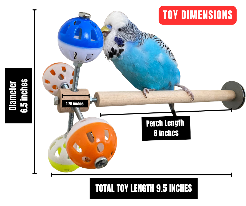 Rotating Wheel Toy for Small Birds