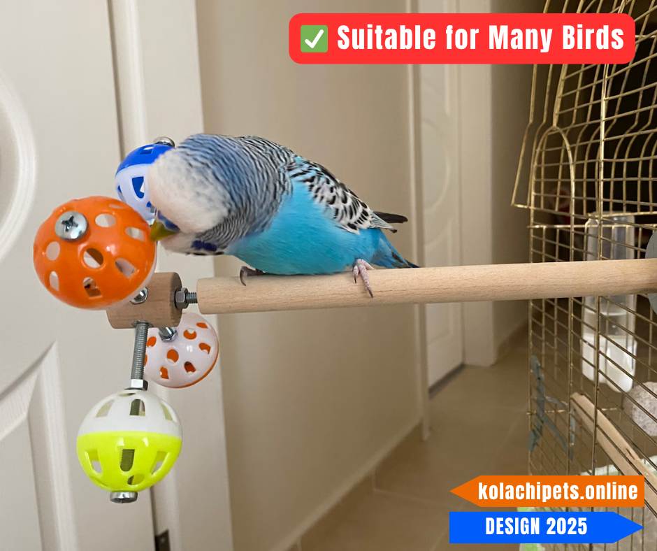 Rotating Wheel Toy for Small Birds