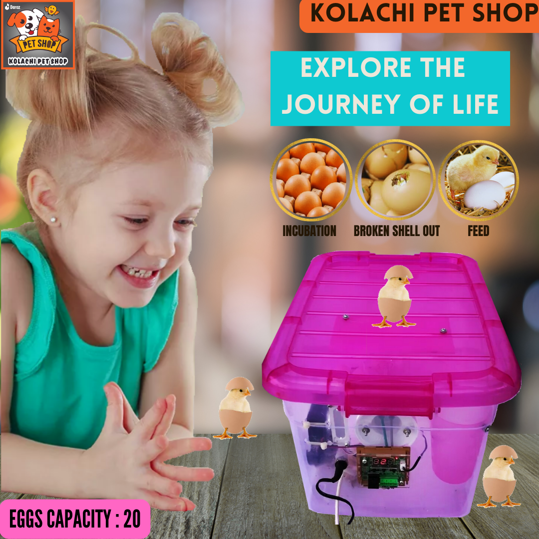 24 Egg Incubator | Semi-Automatic Chick Hatching Box | 220V | Manual Egg Turner | Works with UPS & Generator | Educational & Easy to Use