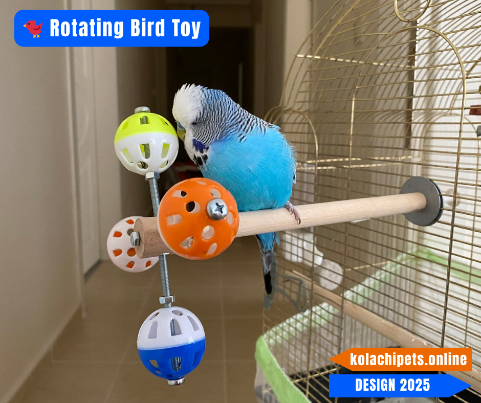 Rotating Wheel Toy for Small Birds
