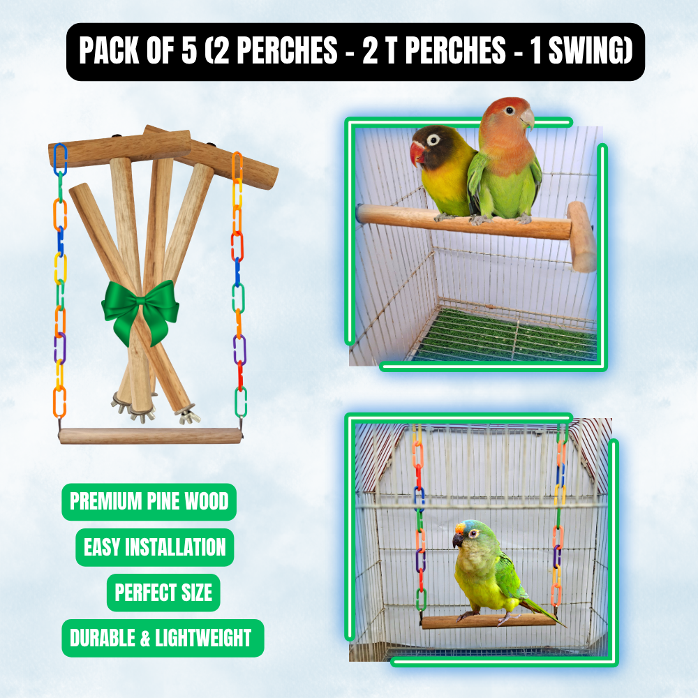 Bird Perch & Swing Set for Cage – Pine Wood Accessories for Budgies, Java Finches, Lovebirds & Small Birds | Multiple Combo Packs
