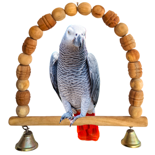 Kolachipets Wooden Bird Perch Toy | Natural Wood Beads Hanging Perch with Metal Bells | Handmade Cage Toy | Medium 30x30 cm, Large 45x38 cm | Suitable for Macaw, Cockatoo, Alexandrine, Ringneck, Conure, Cockatiel | Bird Toy