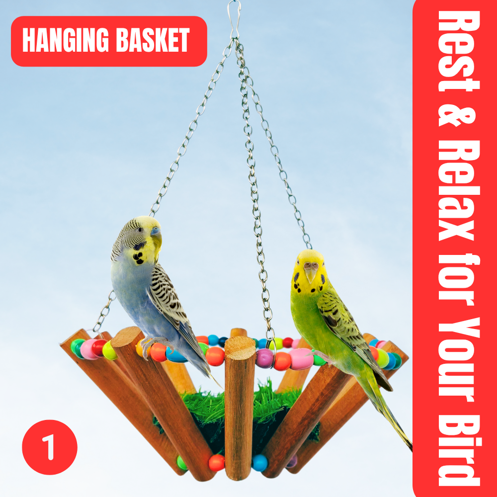 Kolachipets Bird Toys Full 8-Piece Combo