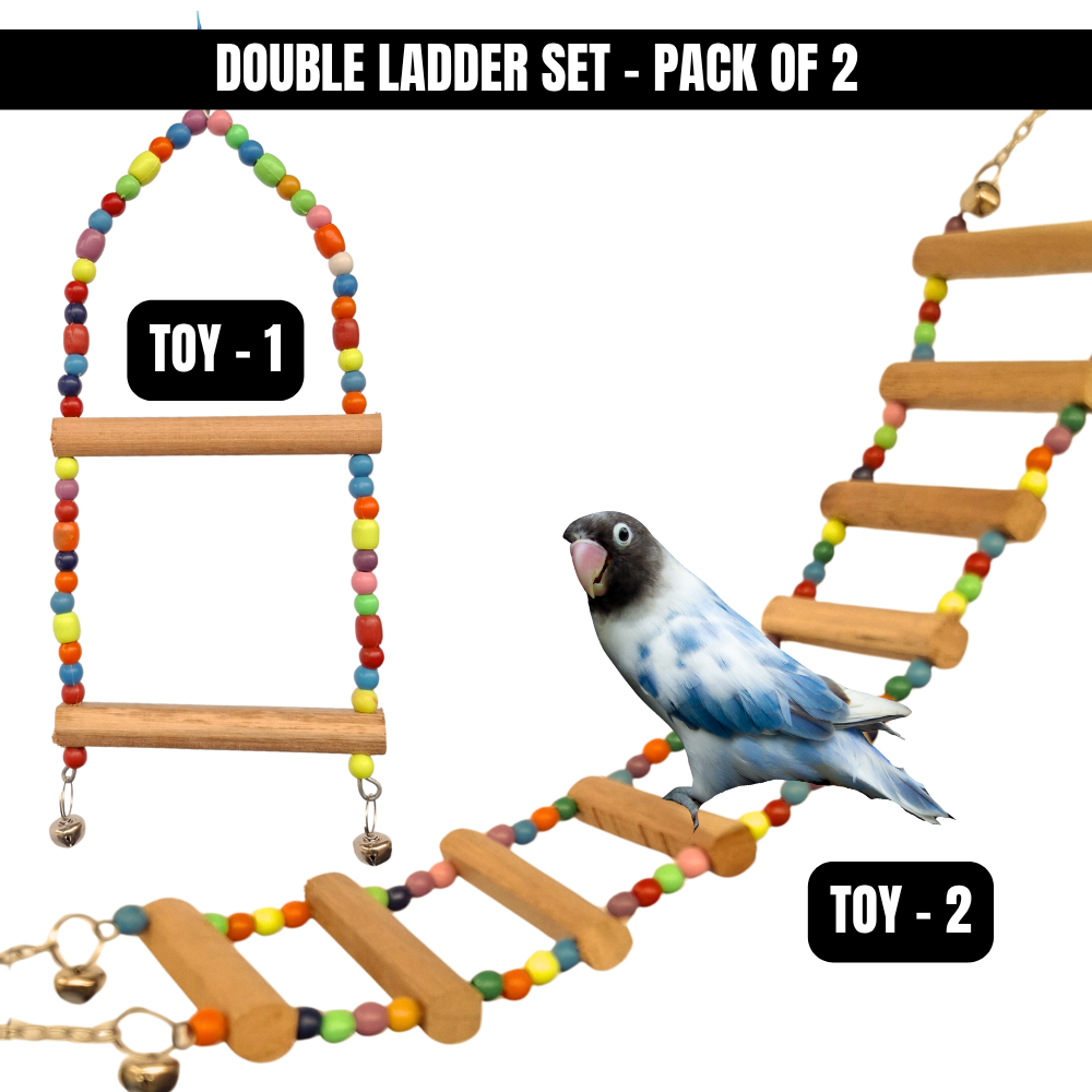 Kolachipets Bird Toys Pack of 2 – Swings & Ladders
