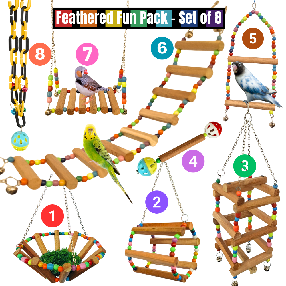 Kolachipets Bird Toys Full 8-Piece Combo