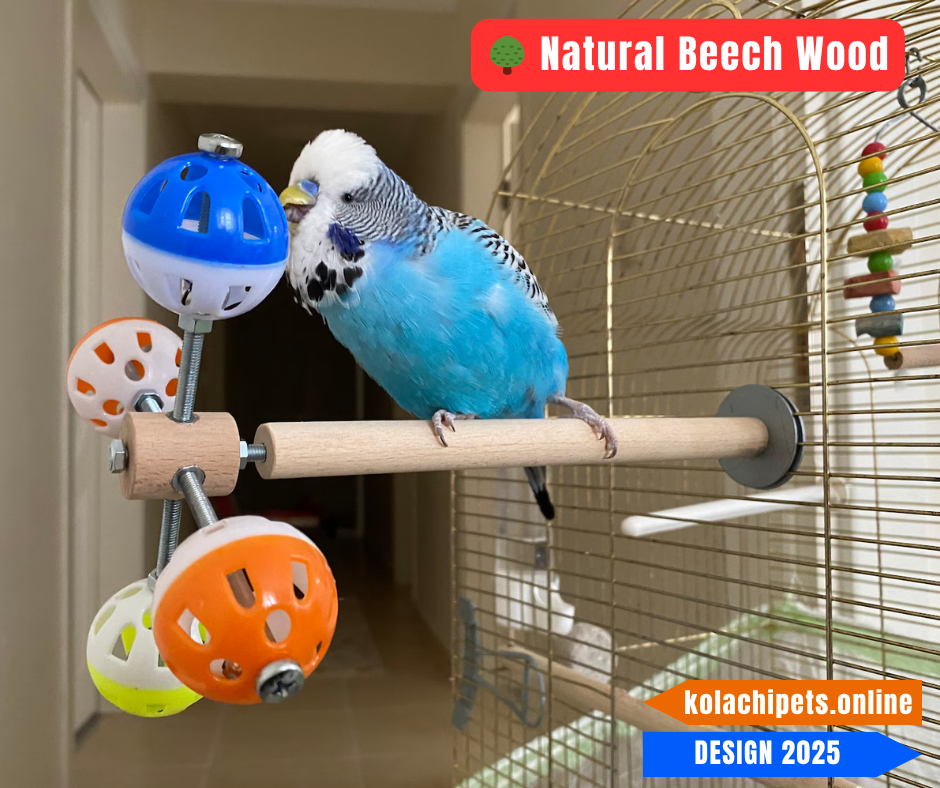 Rotating Wheel Toy for Small Birds
