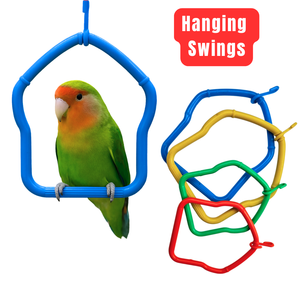 Kolachipets Bird Swing Set – Colorful Hanging Swings
