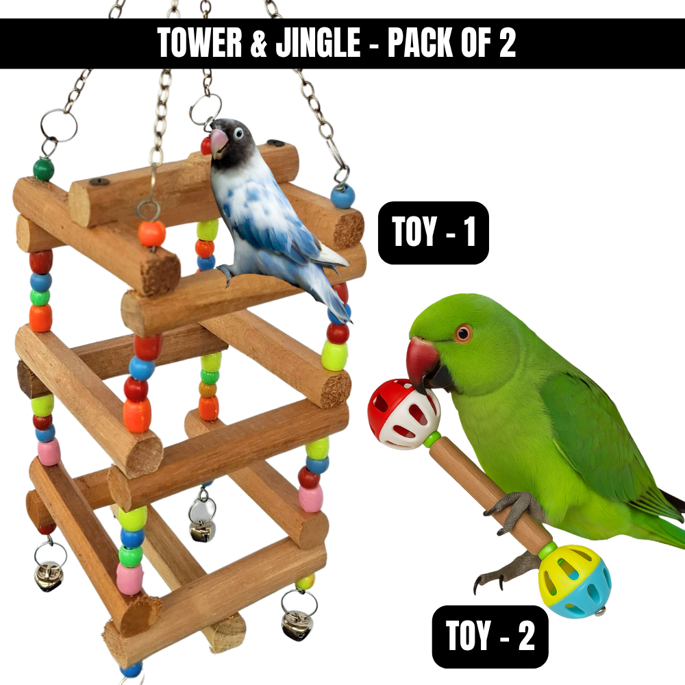Kolachipets Bird Toys Pack of 2 – Swings & Ladders