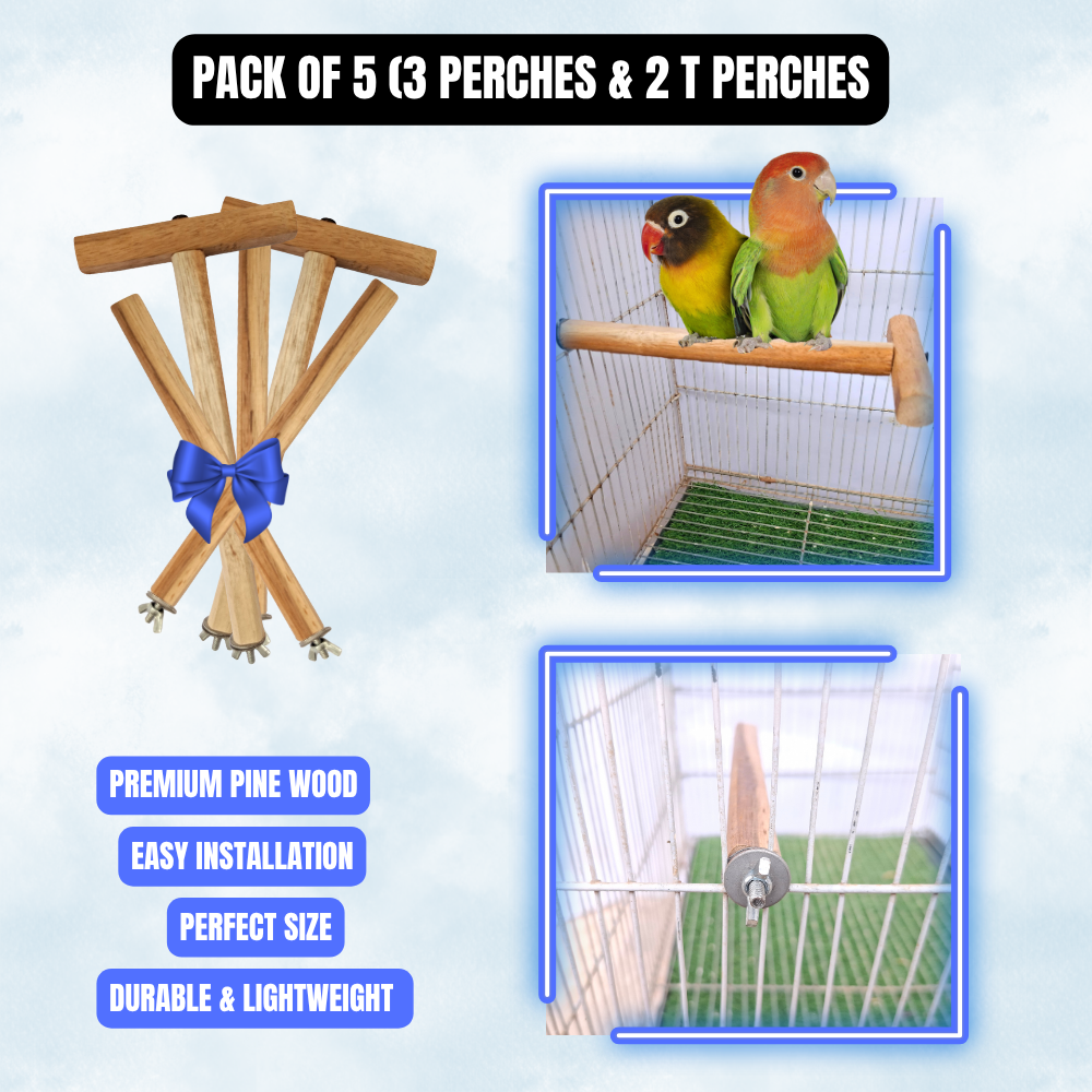Bird Perch & Swing Set for Cage – Pine Wood Accessories for Budgies, Java Finches, Lovebirds & Small Birds | Multiple Combo Packs