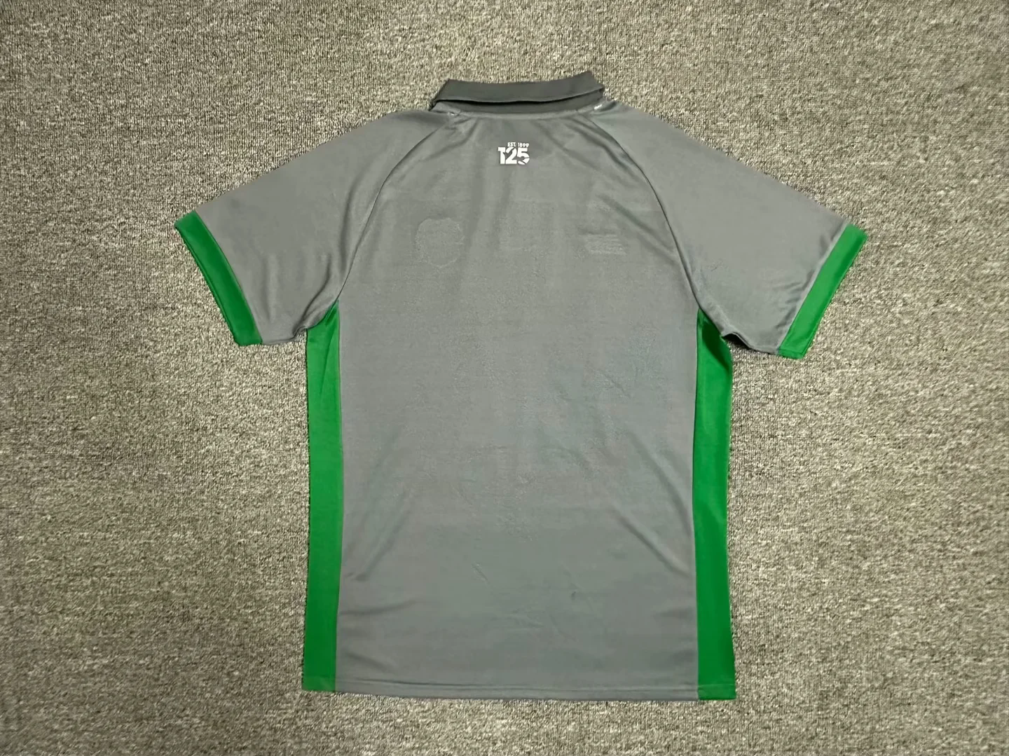 24-25 Cardiff City F.C. away soccer jersey