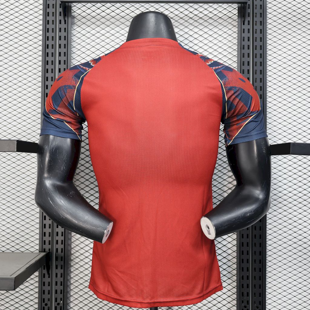 25-26 Manchester United Special Edition Jersey Player Version